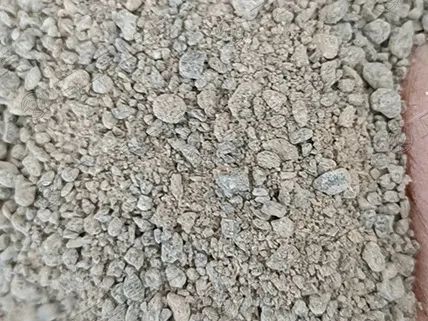 金年会金字招牌诚信至上